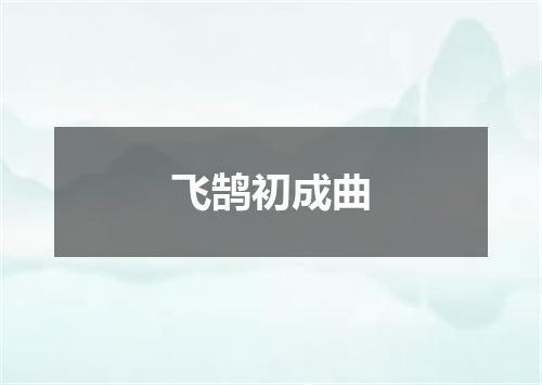 飞鹄初成曲