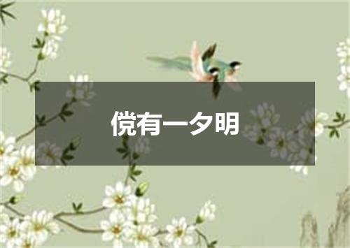 傥有一夕明