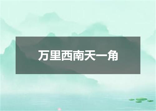 万里西南天一角