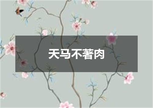 天马不著肉