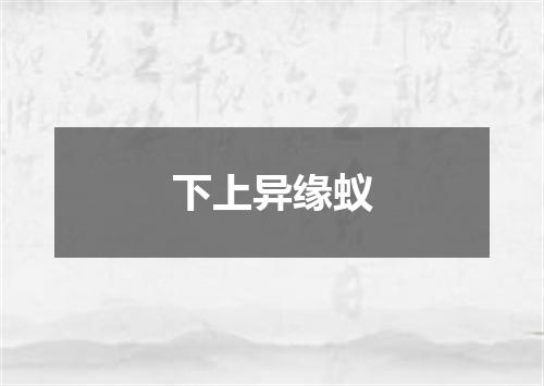 下上异缘蚁