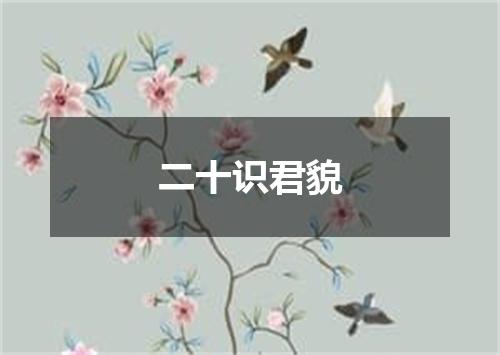 二十识君貌