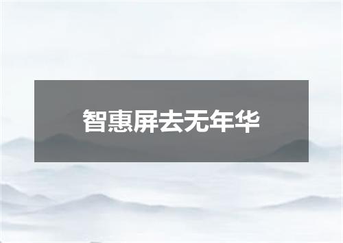 智惠屏去无年华