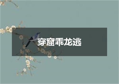 穿窟乖龙逃