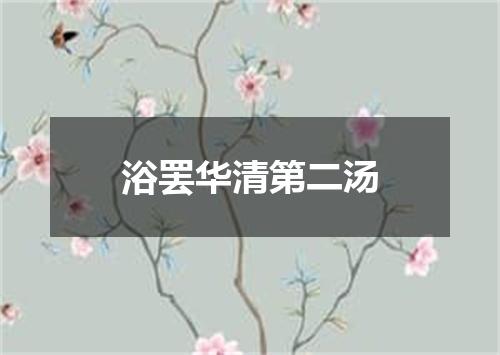 浴罢华清第二汤