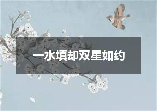 一水填却双星如约