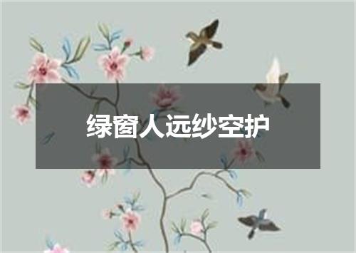 绿窗人远纱空护