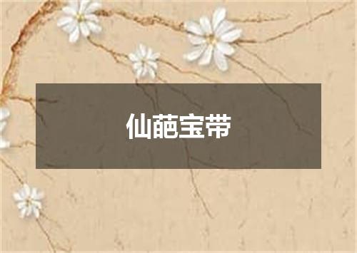 仙葩宝带
