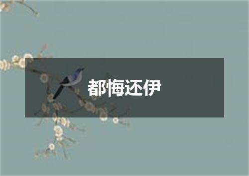 都悔还伊
