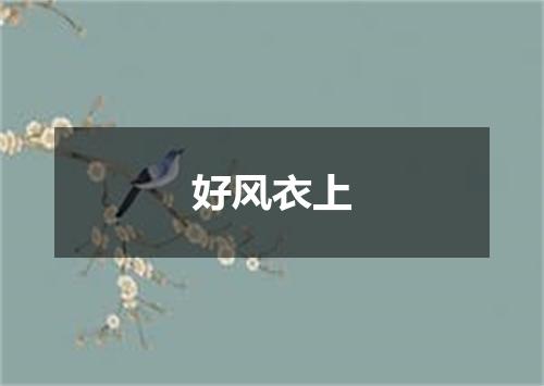 好风衣上