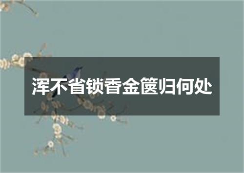 浑不省锁香金箧归何处