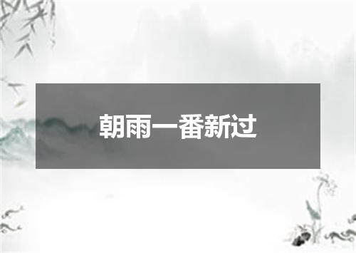 朝雨一番新过