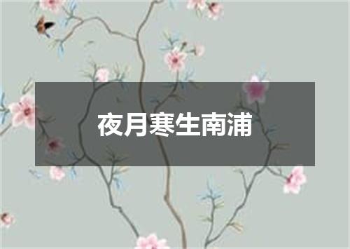 夜月寒生南浦