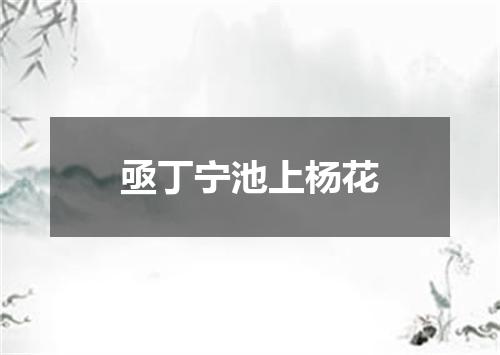 亟丁宁池上杨花