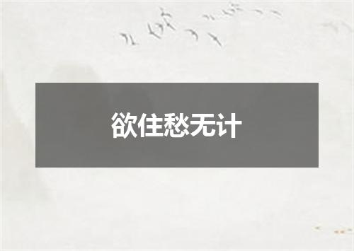 欲住愁无计