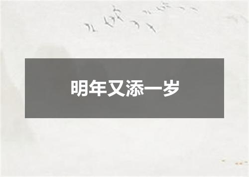 明年又添一岁