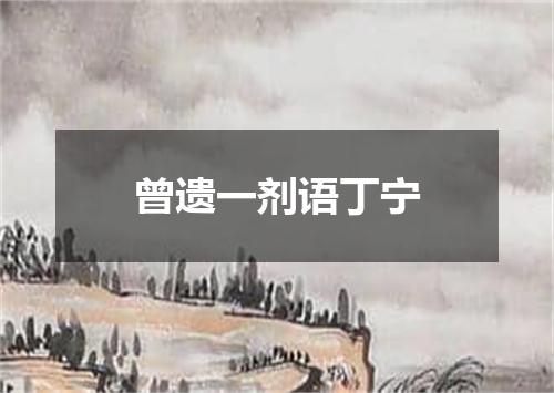 曾遗一剂语丁宁