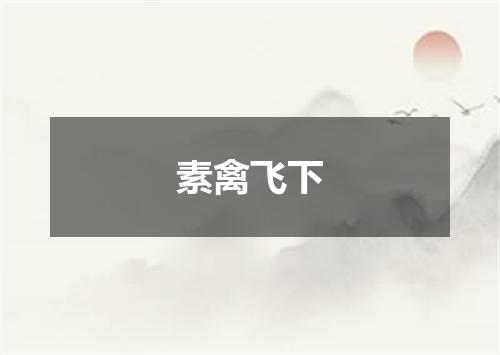 素禽飞下