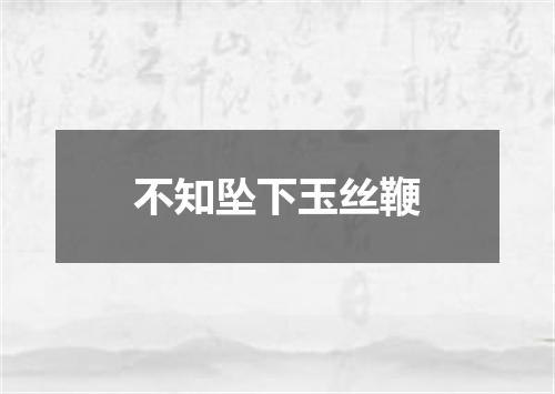 不知坠下玉丝鞭