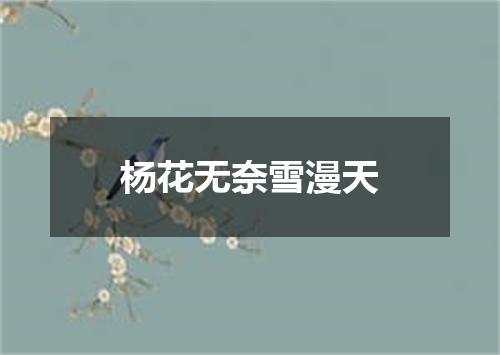 杨花无奈雪漫天