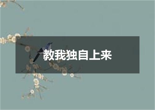 教我独自上来
