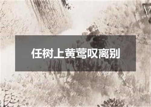 任树上黄莺叹离别