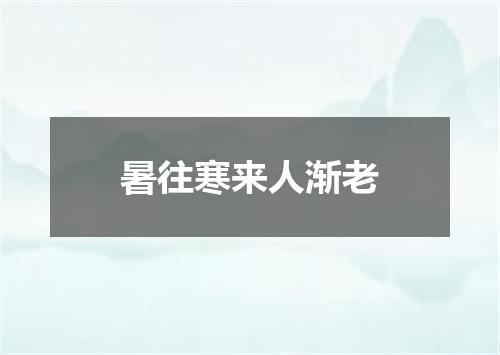 暑往寒来人渐老