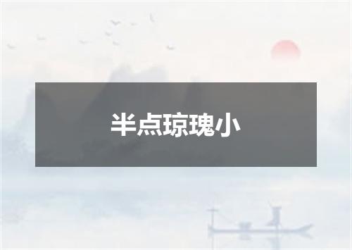 半点琼瑰小