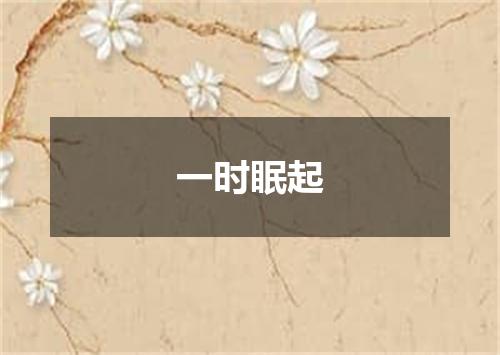 一时眠起