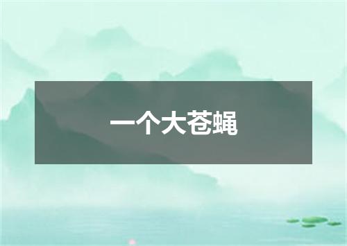 一个大苍蝇
