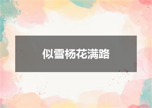 似雪杨花满路