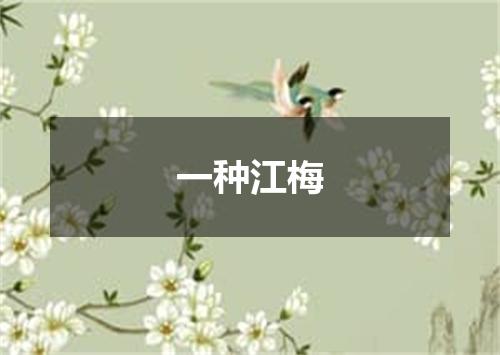 一种江梅