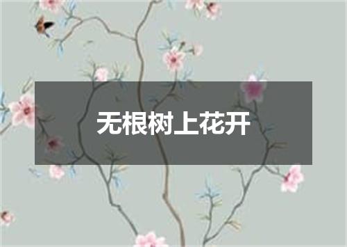 无根树上花开
