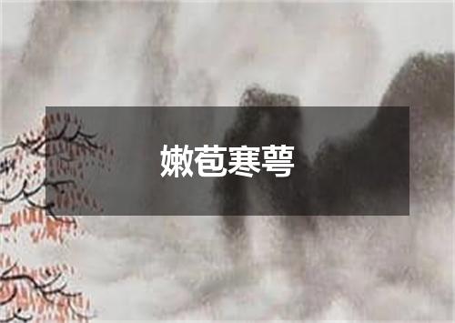 嫩苞寒萼