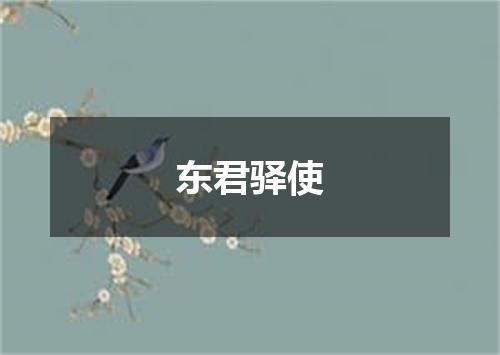 东君驿使
