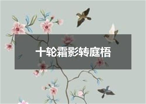 十轮霜影转庭梧