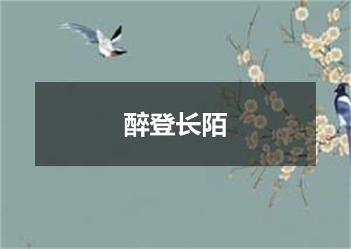 醉登长陌