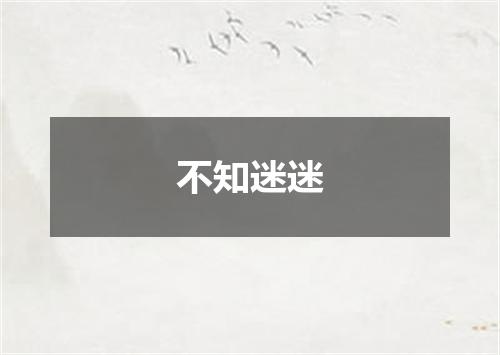 不知迷迷