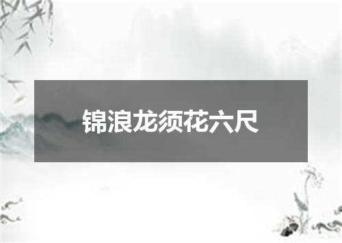 锦浪龙须花六尺