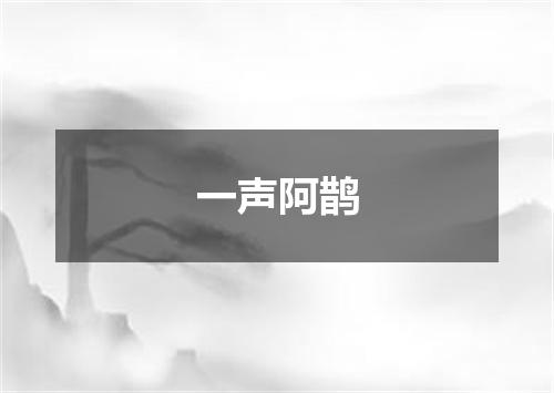 一声阿鹊
