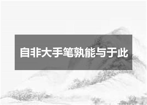自非大手笔孰能与于此