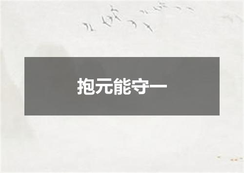 抱元能守一