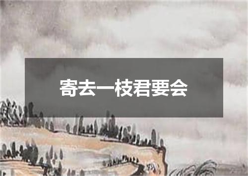 寄去一枝君要会
