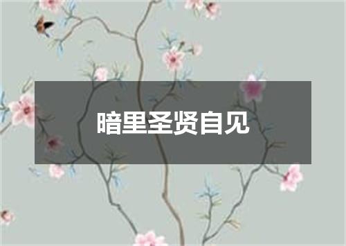 暗里圣贤自见