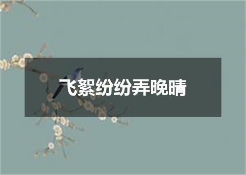 飞絮纷纷弄晚晴