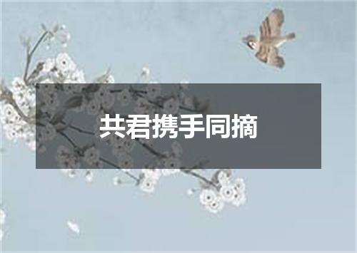 共君携手同摘