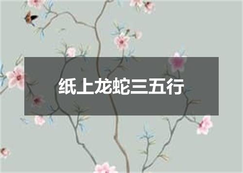 纸上龙蛇三五行