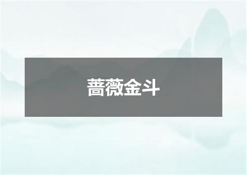 蔷薇金斗