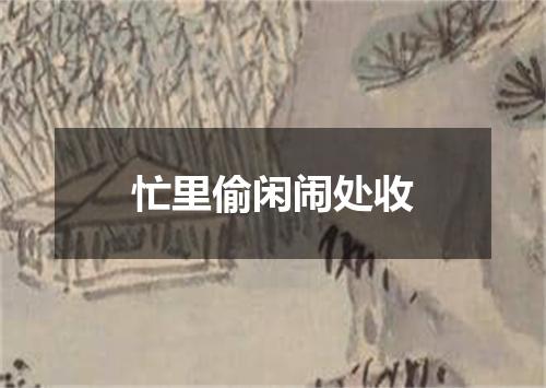 忙里偷闲闹处收