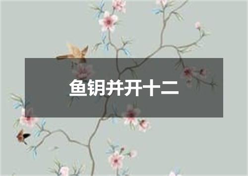 鱼钥并开十二
